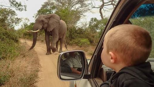 children on a friendly safari