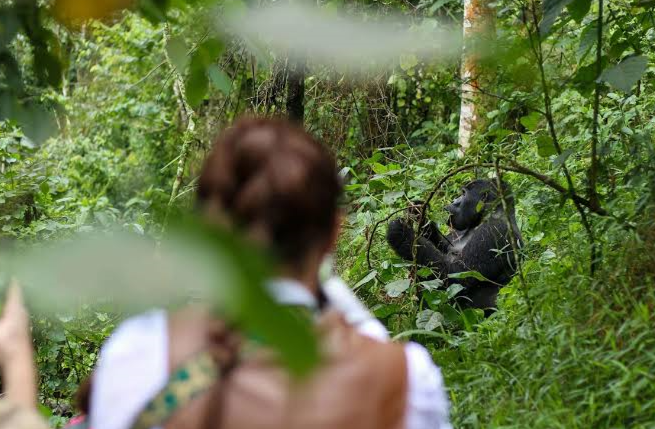 12 Days Uganda Family Adventure Safari