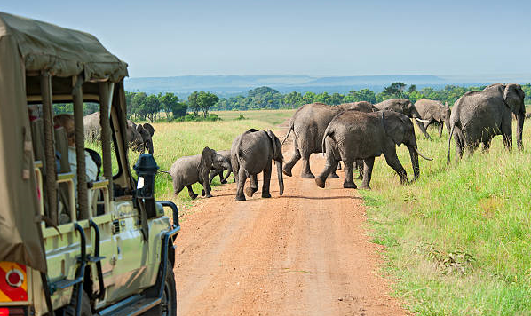 family on safari