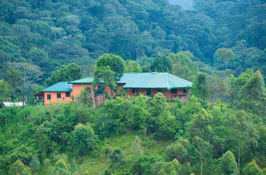 exterior view of kalinzu forest nature lodges
