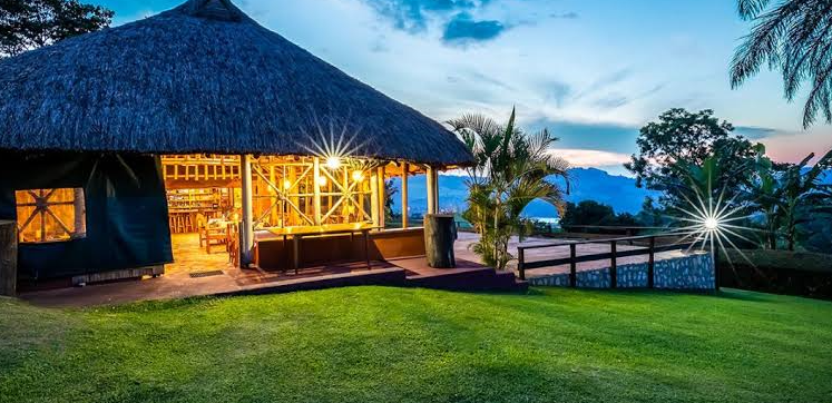 Best Birding Lodges Uganda: Top Stays for Birdwatchers