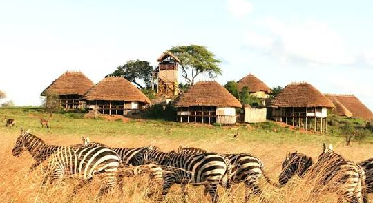 kidepo valley lodges