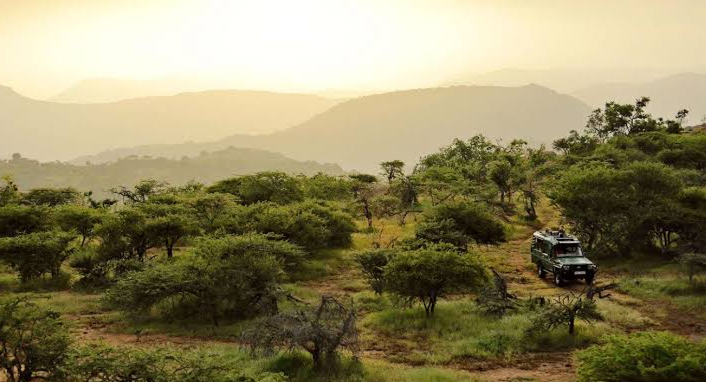 tourists driving through the laikipia plateau