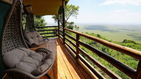 Best Birding Lodges Uganda: Top Stays for Birdwatchers