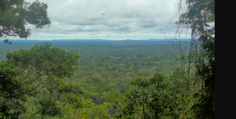 lomami-national-forest reserve