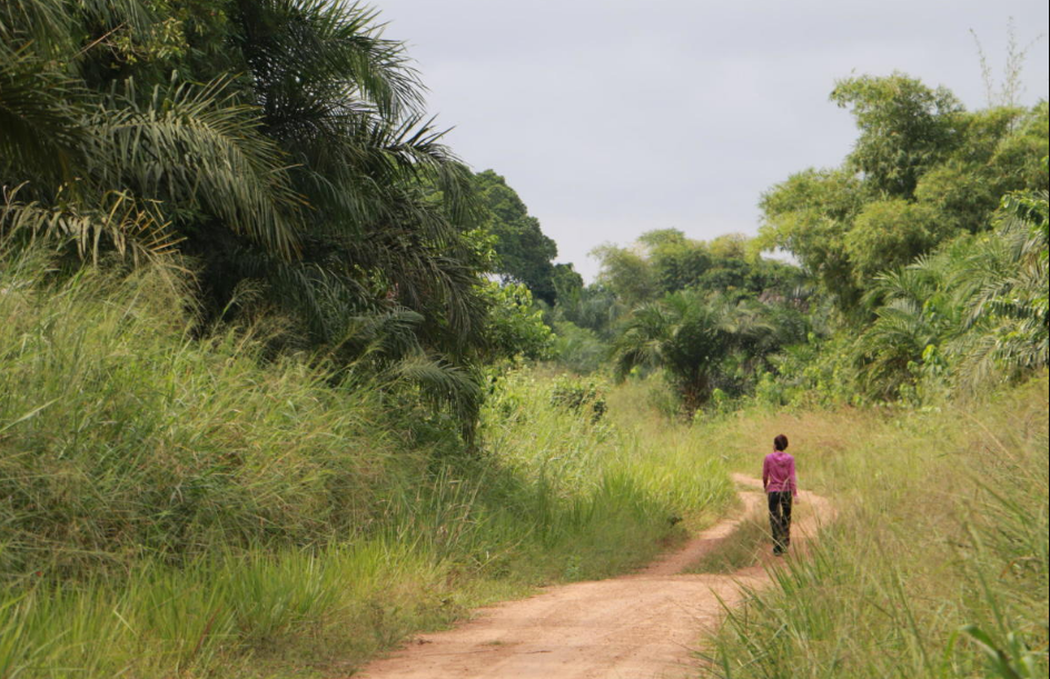 community vists helps to track how to reach lomami national park