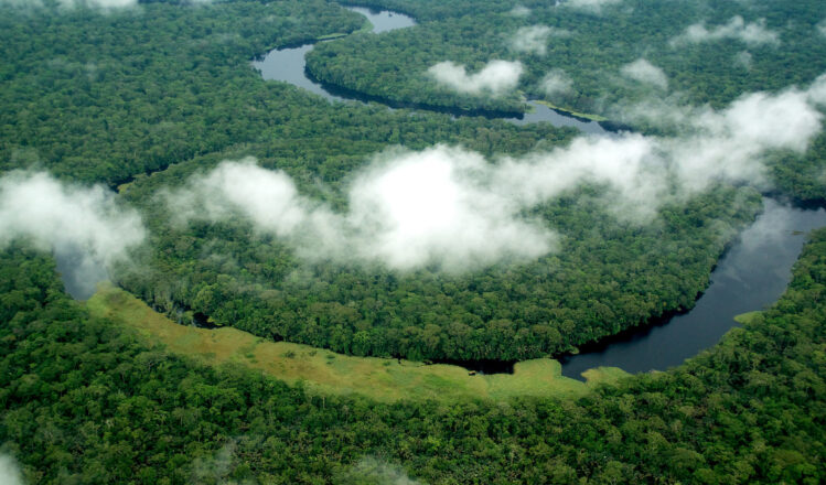 research and conservation tourism