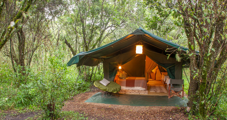 rented lodge safari