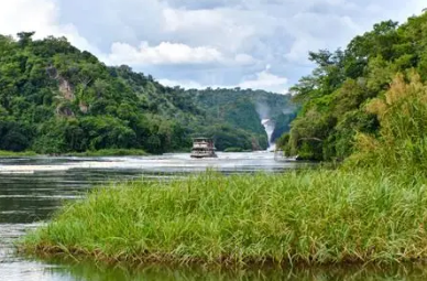national parks for group safari in uganda