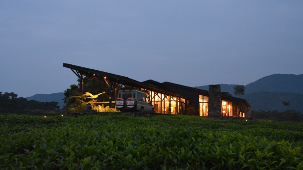 Best Lodges Near Nyungwe Forest National Park Rwanda