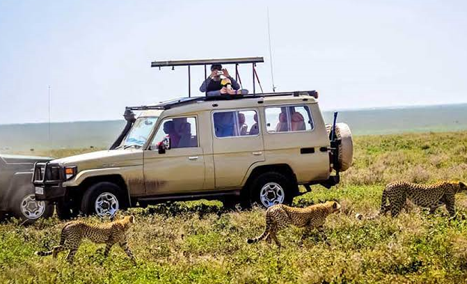 pop up roof of a tour car car in the a frican wild