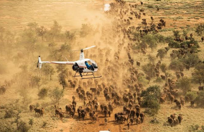 Charter plane landing on a flying safari in East Africa vs road trip