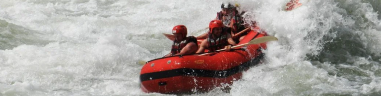 rafters spotted on the nile