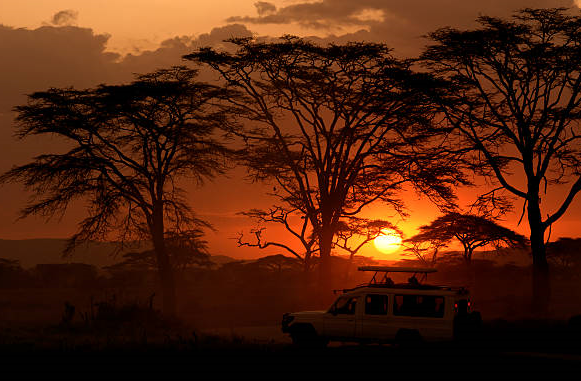 Road trip safari vehicle on a flying safaris vs road trips East Africa comparison