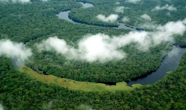Lomami National Park rainforest landscape in Congo