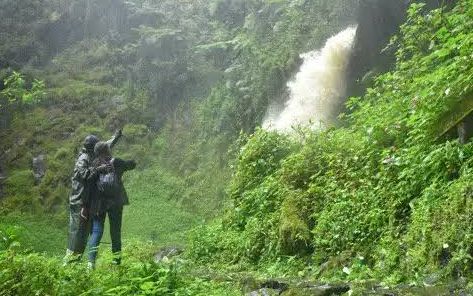 sightings in nyungwe national park