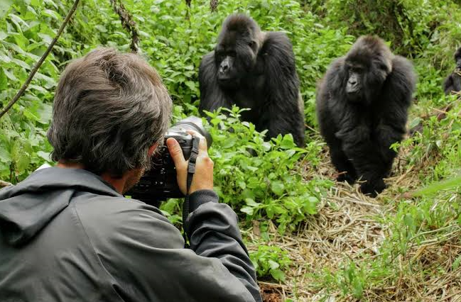 a tourist taking a picture in rwand