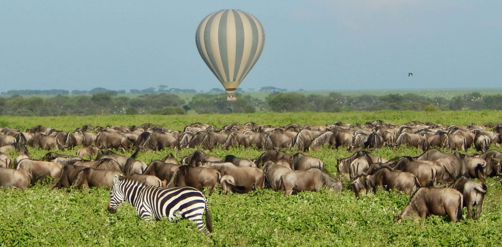 the great migration