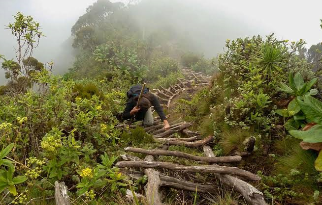 a tourist hiking the summit