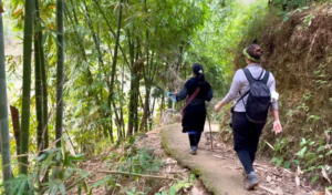 trekkers spotted on a trail in eastern congo