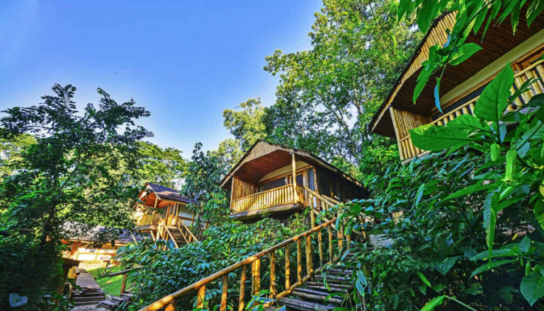 budget friendly lodge accommodation in uganda for travellers