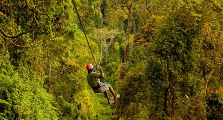 zip lining in Nyungwe forest 