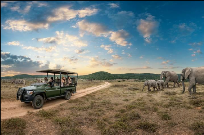 Cape Town and Kruger safari combination tour in South Africa