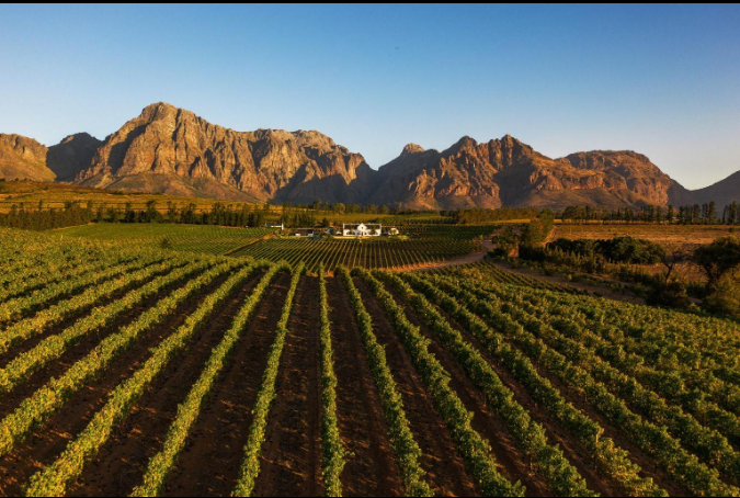 Paarl vineyards in the Cape Winelands South Africa