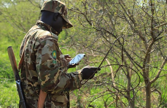 anger guiding trekkers holding gorilla trekking permits