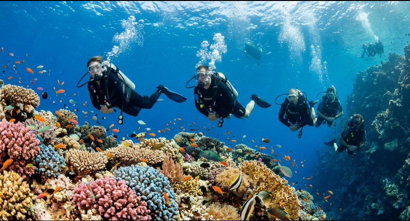 Scuba diving adventure in Egypt's Red Sea coral reefs