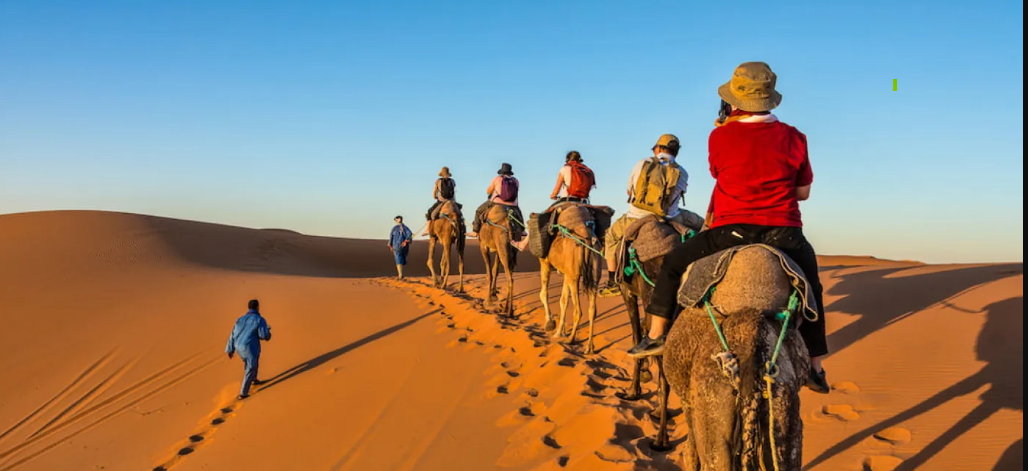 Camel trekking during the best Egypt safari and desert adventure tours