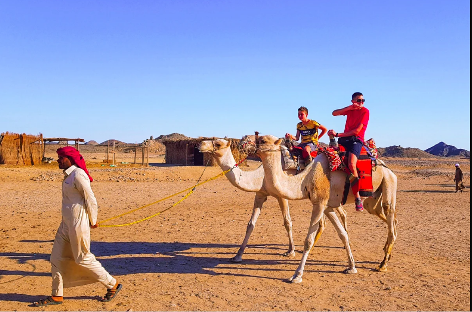 Egypt Desert Safari Guide through the Sahara Desert