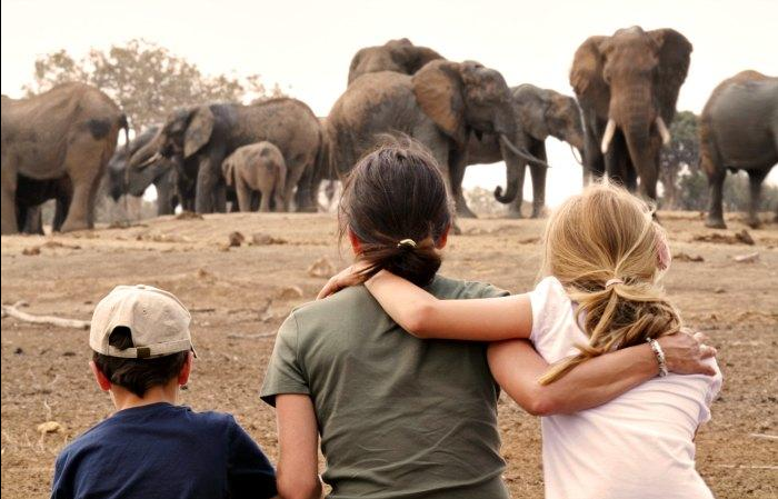 Best time to visit Kruger National Park for families