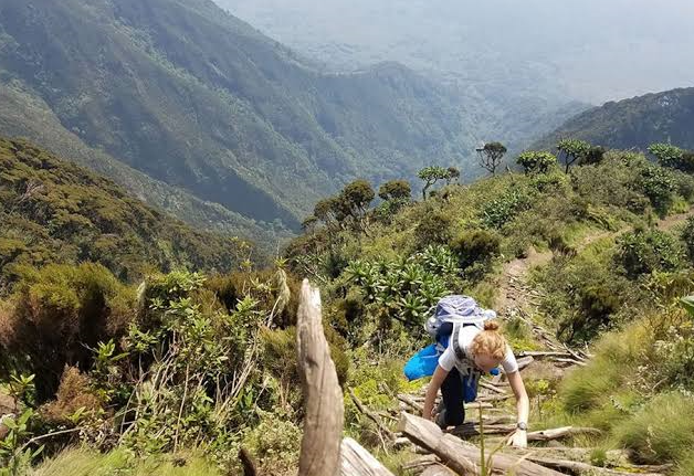 gorilla trekking difficulty on a steep volcanic trail in Mgahinga National Park