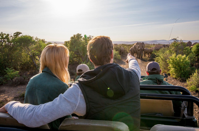 Group safari in South Africa Kruger National Park 2026