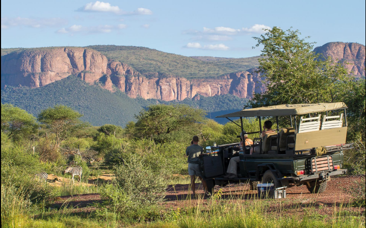 South Africa Tour Packages 2026 featuring safari wildlife and scenic landscapes