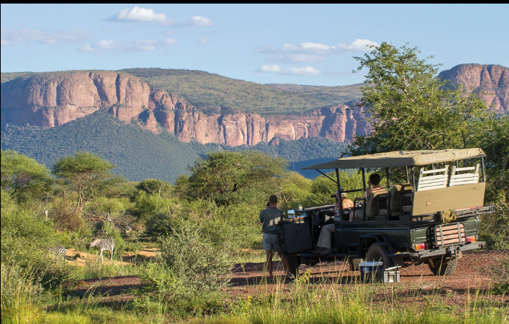 South Africa Tour Packages 2026 featuring safari wildlife and scenic landscapes