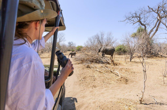 Best time to visit Kruger National Park for wildlife photography