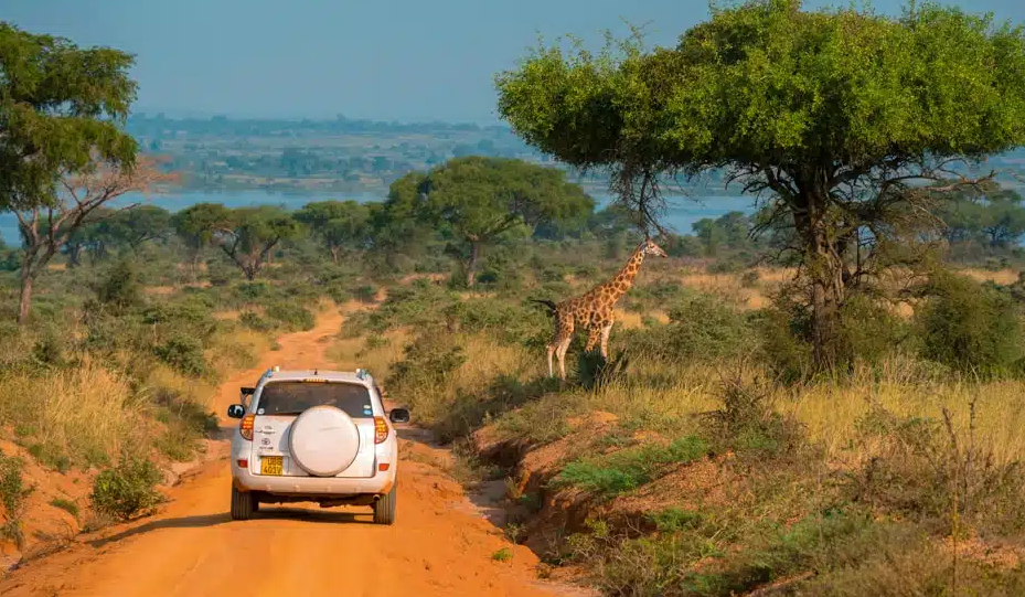 self drive using a luxury SUV