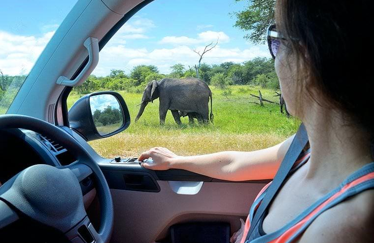 Self drive South Africa Kruger National Park safari