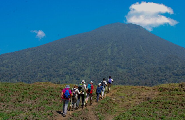 a game ranger leading chimp trekkers