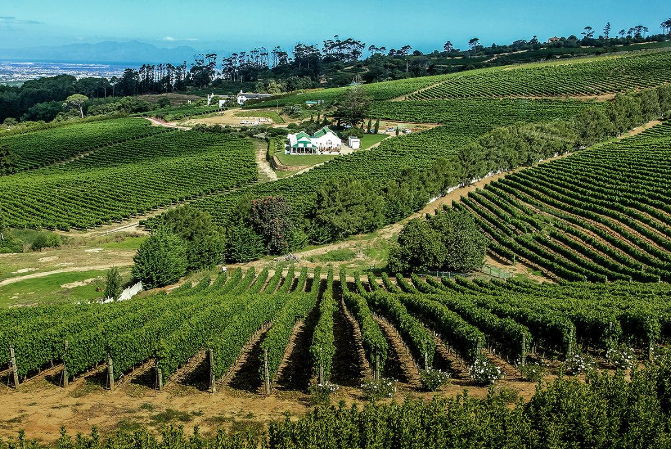 South Africa wine tours through the Cape Winelands