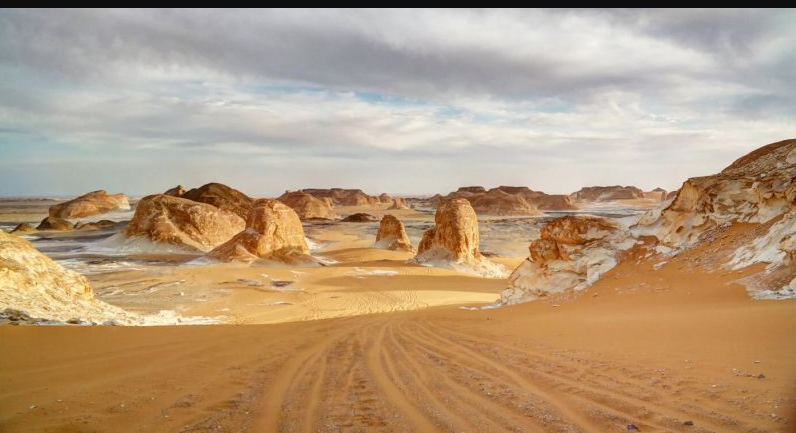 Egypt wildlife and birding tours through the White Desert landscape