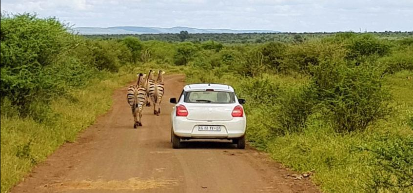 Best time to visit Kruger National Park during the wet season