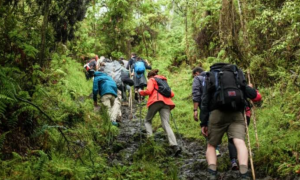 a group of travelers on ahike