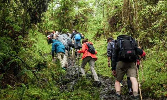 a group of travelers on ahike
