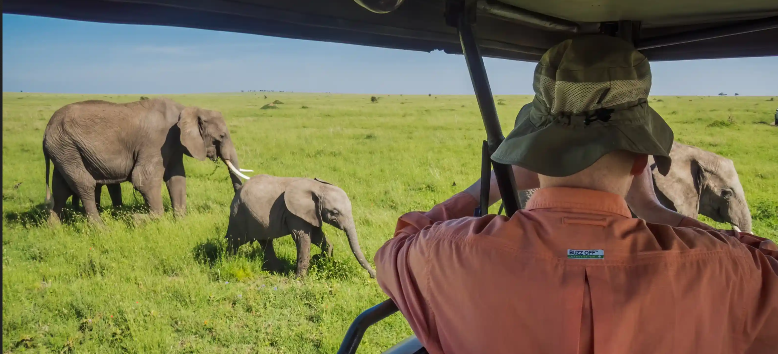close encounter in the wild