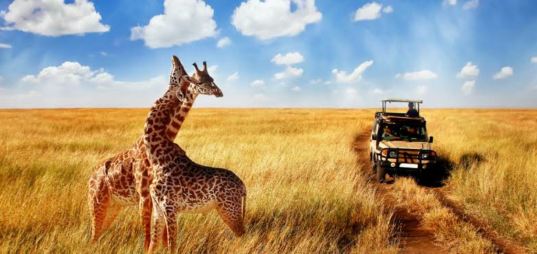african safari costs