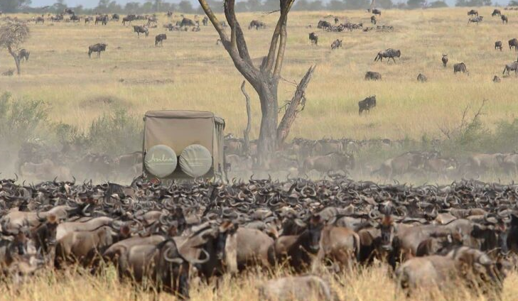 best adventure in masai mara