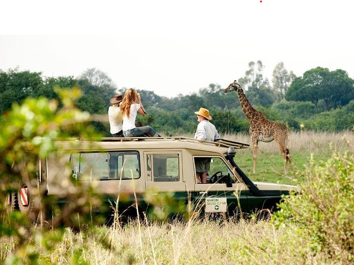 best safari circuits for reapt travelers